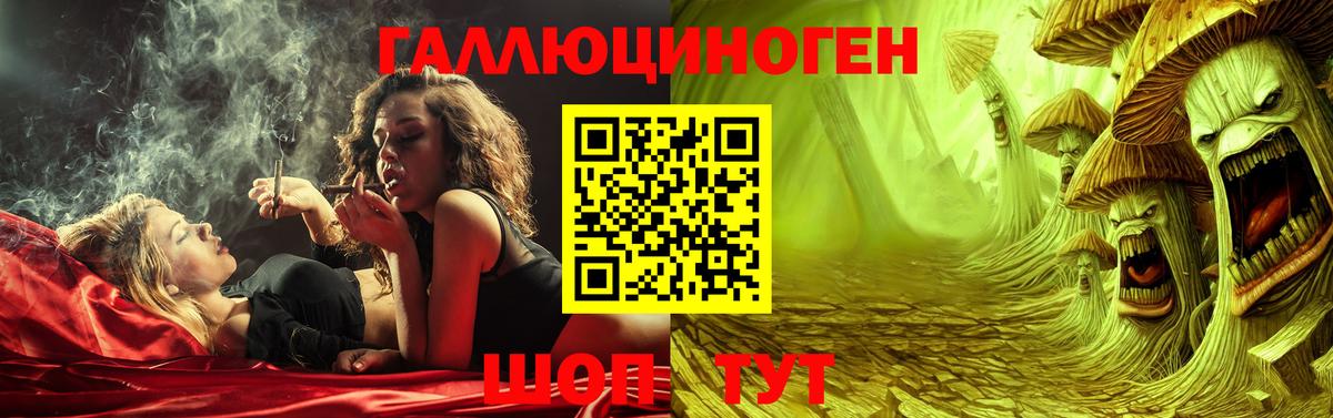 Елец  Галлюциногенные грибы прущие грибы  Вход с VPN  Псилоцибиновые грибы Psilocybine cubensis 