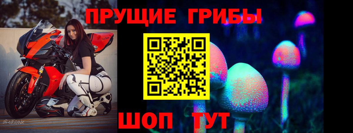 Галлюциногенные грибы Cubensis Елец